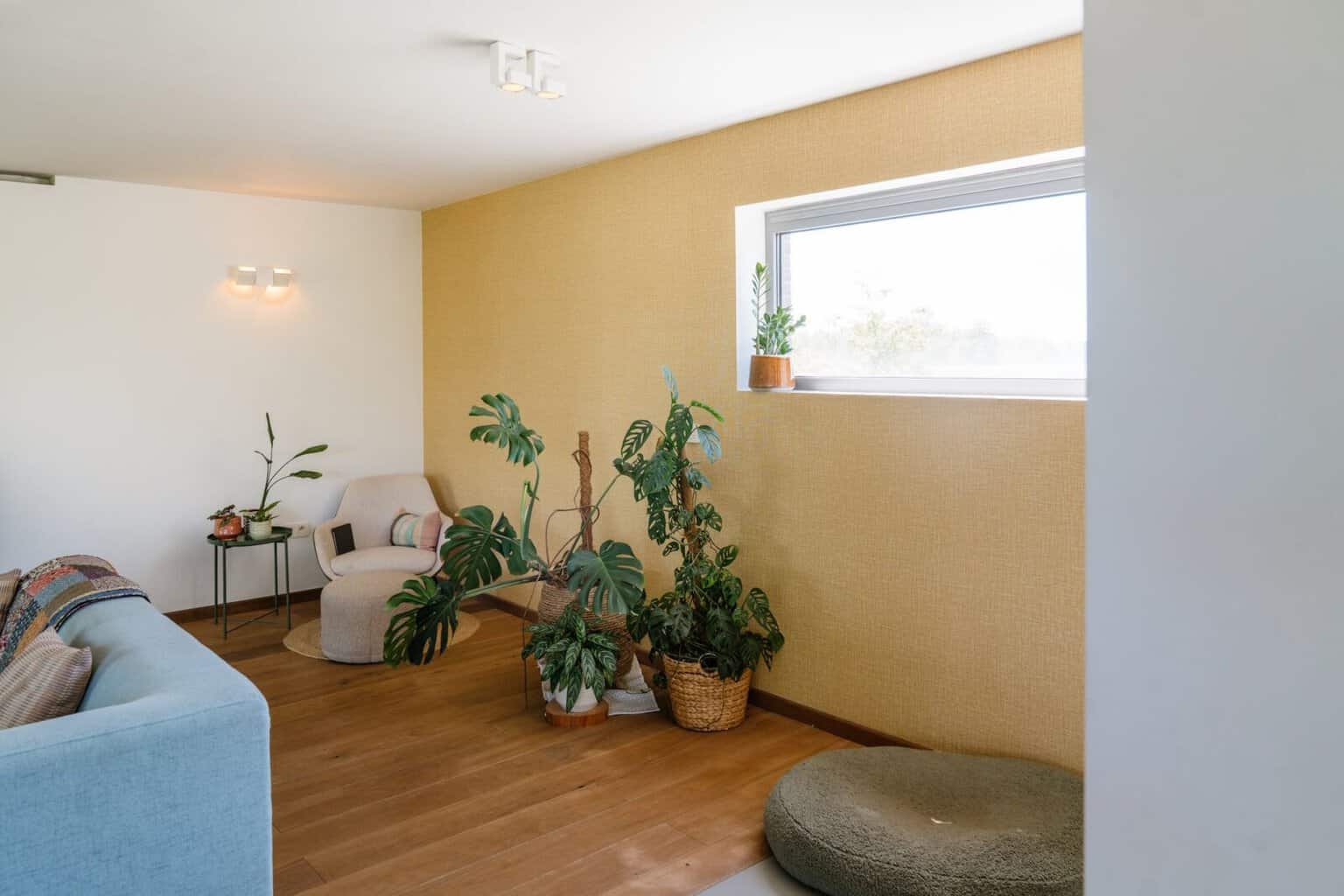 Okergeel behang in living met monstera en roze fauteuil — woning Lodewijcks Mol