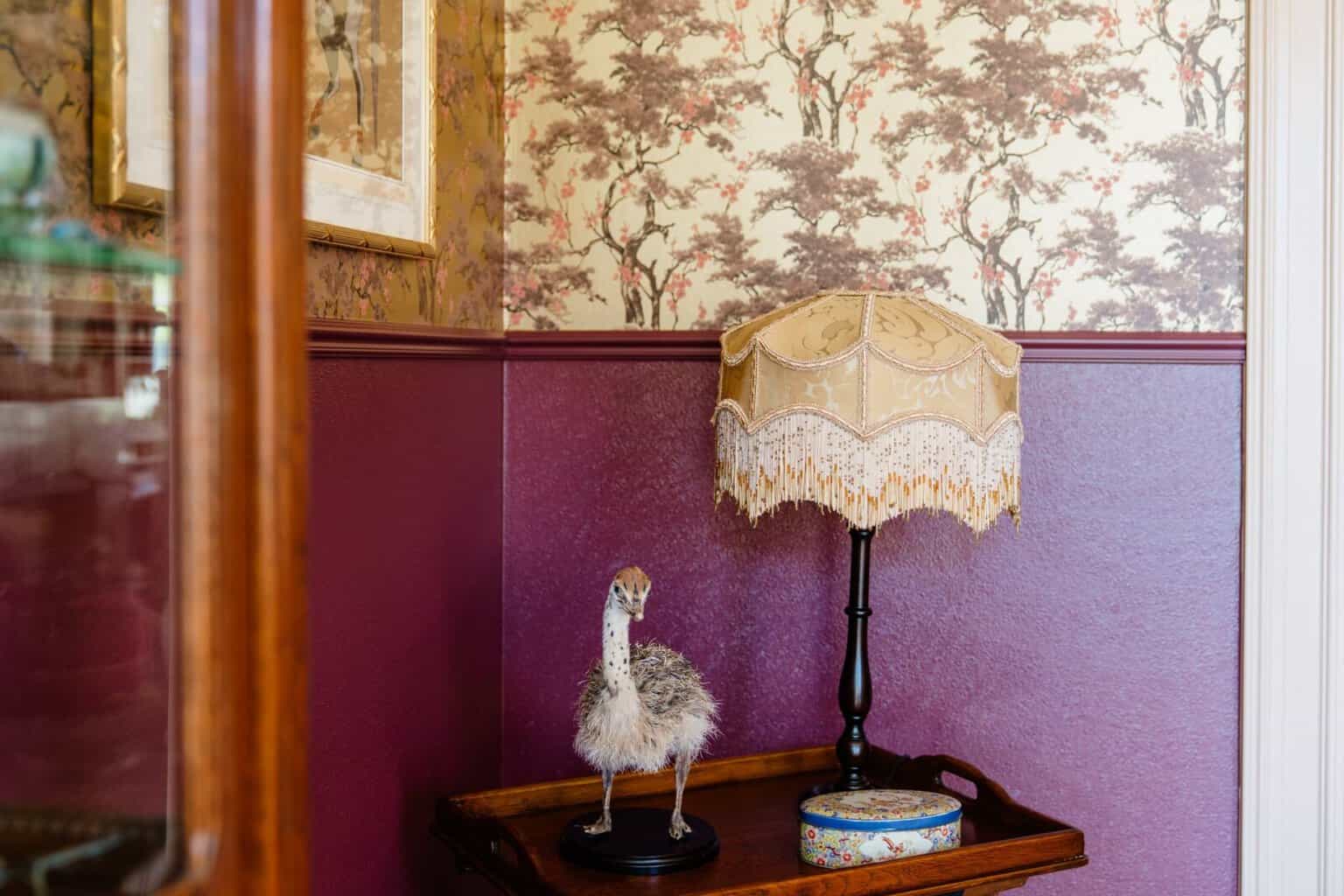 Bordeauxrode lambrisering met vintage lamp en opgezette vogel als decoratie — woning Lommel